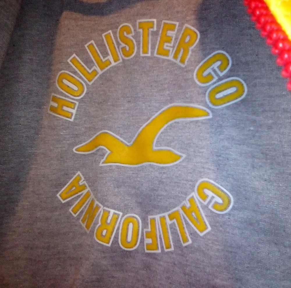 HOLLISTER VEST - Picture 7 of 9